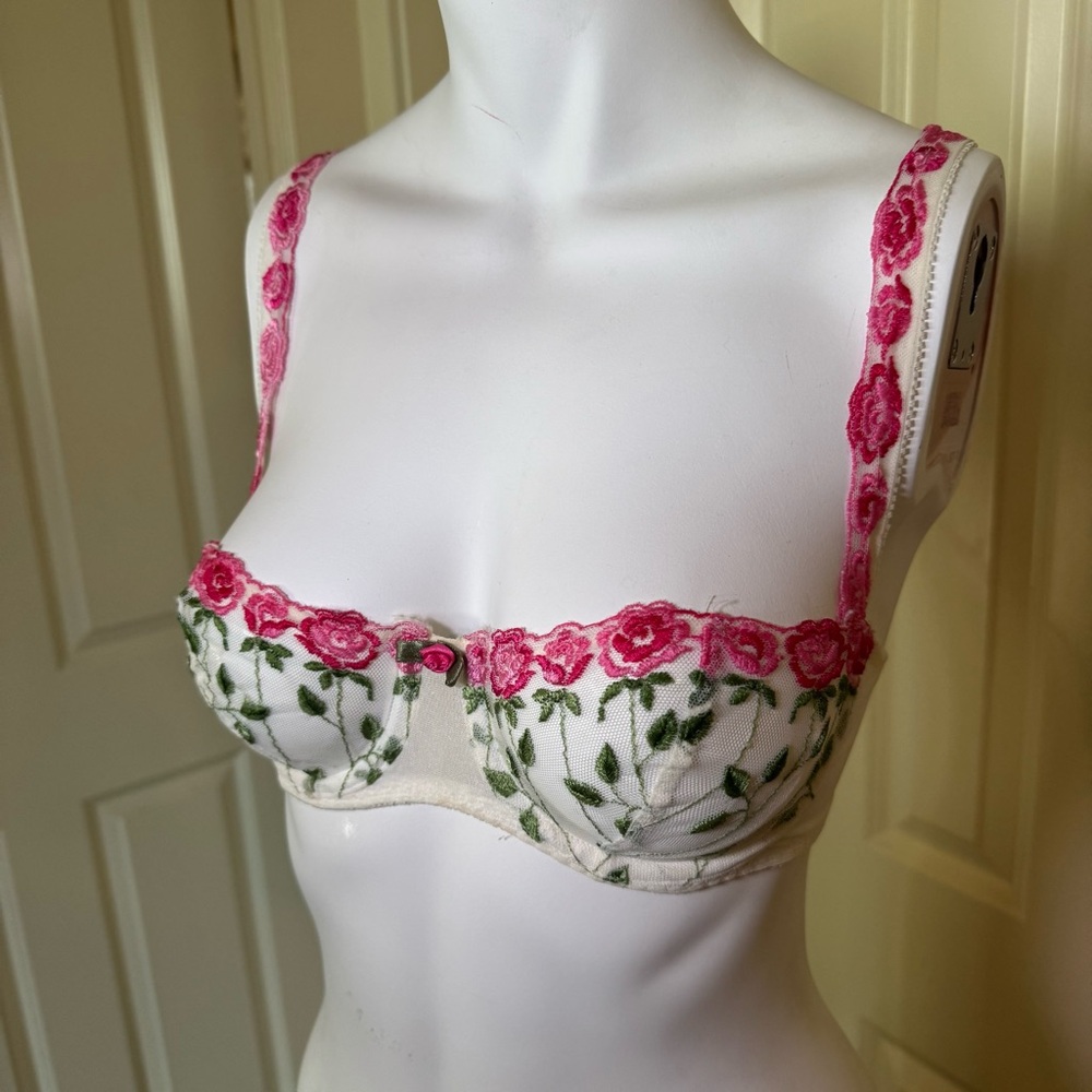 Sheer Floral Embroidered Balconette Bra - Pink on Cream